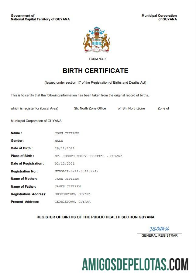 Para baixar modelo Word e PDF de certidão de nascimento de registro vital da Guiana